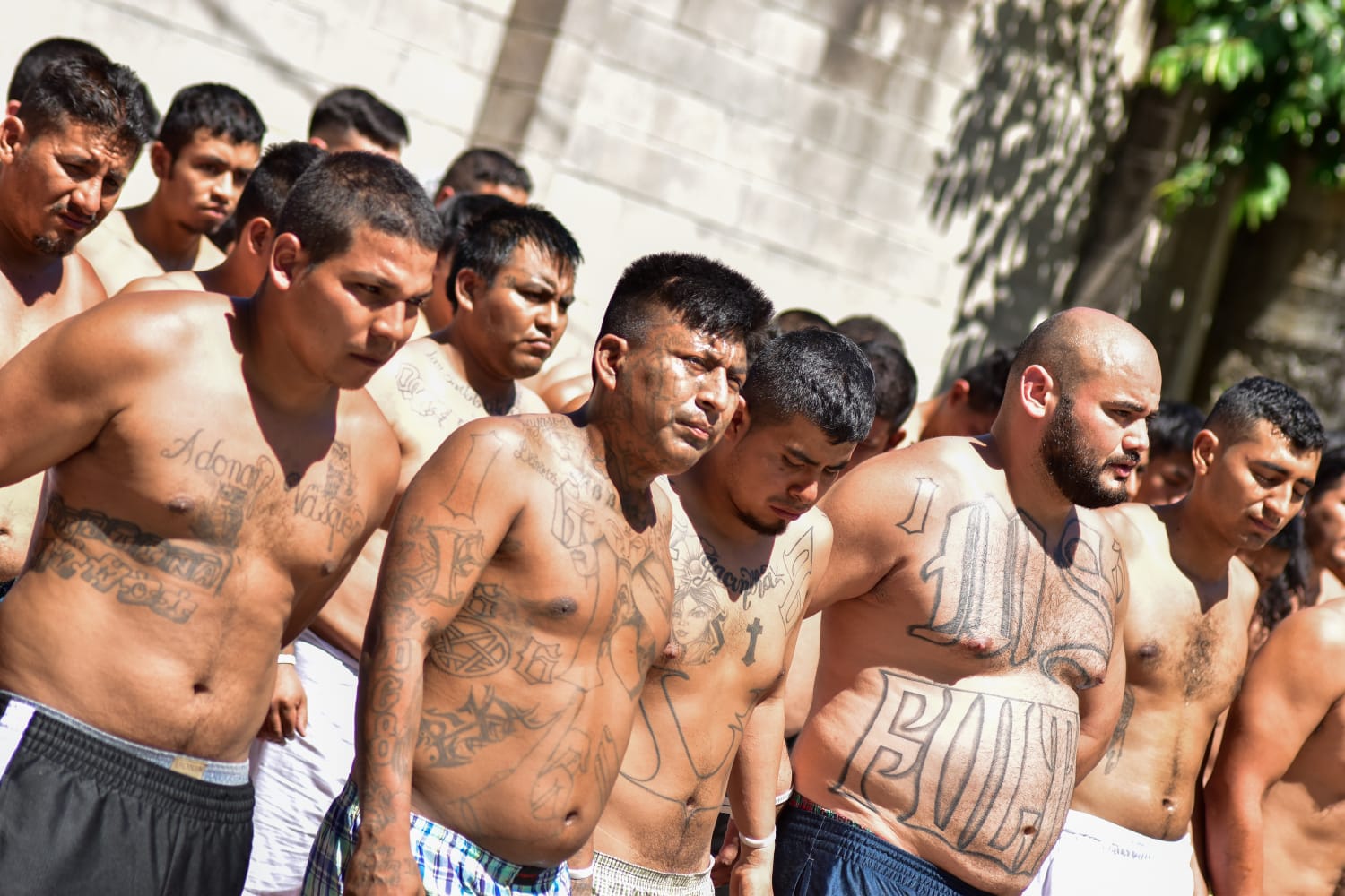 Desarticulan a 66 pandilleros que atemorizaban a salvadoreños en Soyapango desarticulan-a-66-pandilleros-que-atemorizaban-a-salvadorenos-en-soyapango